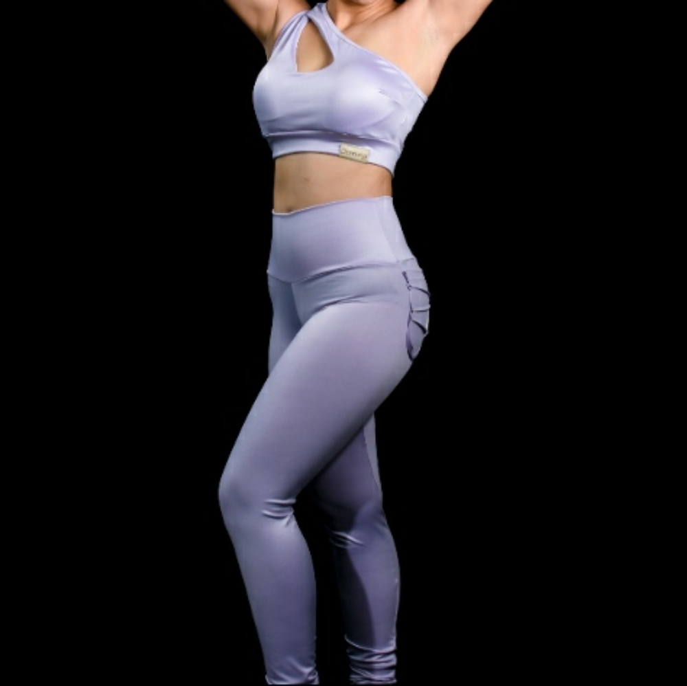 Purple Gym Set
